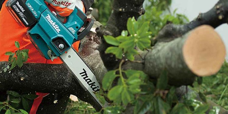 Nên chọn máy cưa điện hay máy cưa sử dụng xăng?