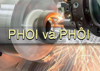 Phoi và phôi khác nhau như thế nào?